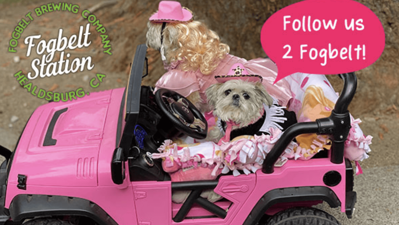 Two small dogs, dressed for a costume contest, sit in a pink toy jeep. One dog is positioned as the driver while the other wears a hat and says, "Follow us to Fogbelt Station!" The image text states: "Fogbelt Brewing Company, Healdsburg, CA.