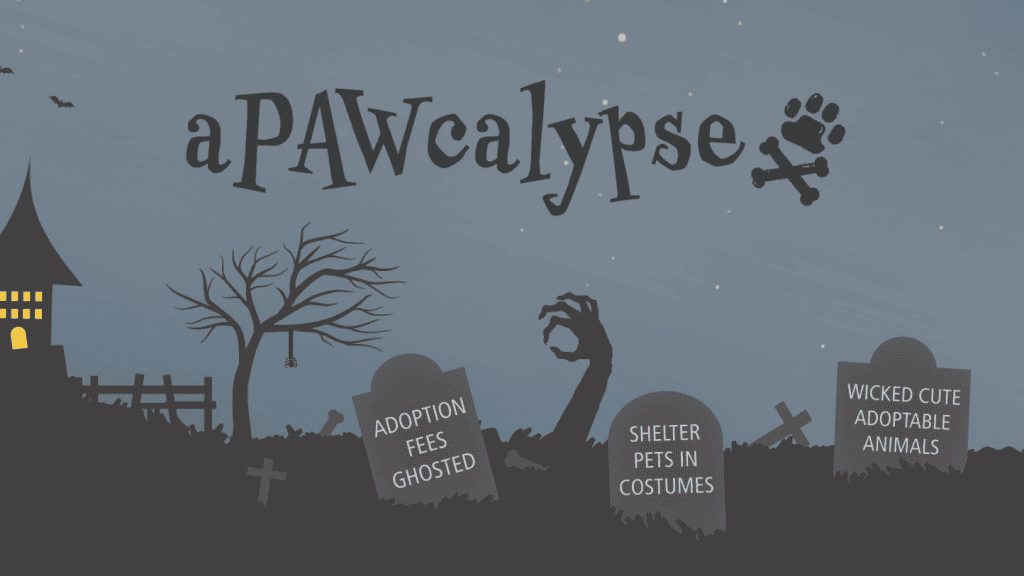 Title: aPAWcalypsePoster Description:Immerse yourself in a Halloween-themed pet adoption event with our "aPAWcalypse" poster. The design features a haunting landscape where gravestones bear intriguing, playful phrases. One reads "Adoption Fees Ghosted," suggesting special adoption offers. Another highlights "Shelter Pets in Costumes," hinting at the fun of meeting dressed-up animals ready for new homes. The final stone proclaims “Wicked Cute Adoptable Animals,” inviting you to see the endearing pets available for adoption.A single hand emerges from the ground, adding an element of intrigue and capturing the spooky theme perfectly. This eye-catching imagery supports your search for engaging activities to enjoy with dogs while reflecting seasonal excitement around Halloween festivities through strategic keywords like 'Halloween-themed pet event', 'costumed shelter pets’, and ‘cute adoptable animals.’