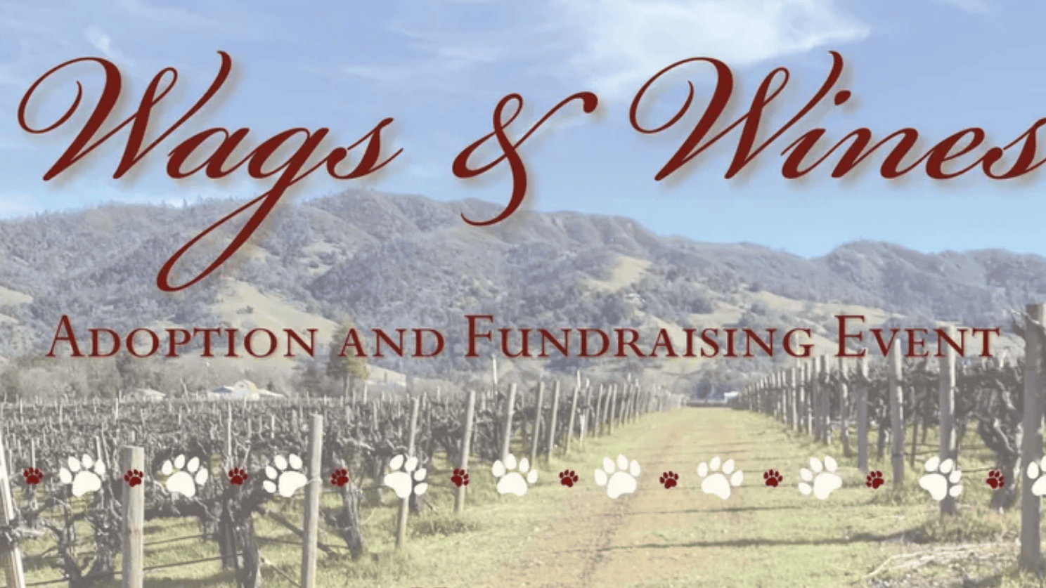 Set against a vibrant blue sky, the vineyard's rolling landscape invites you to the "Wags & Wines" event. This adoption and fundraising gathering is highlighted by a playful border of paw prints along the bottom. Join us at Mia Bea to enjoy a meaningful day filled with support for a good cause.