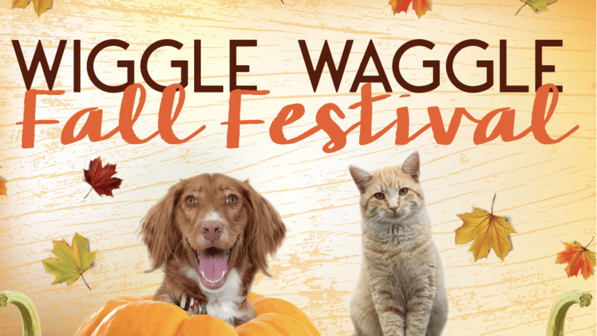 The poster for the Wiggle Waggle Fall Festival features a joyful scene with a brown and white dog playfully nestled inside a pumpkin. An orange tabby cat sits nearby, adding to the charm. The background is textured and decorated with autumn leaves, perfectly capturing the festive spirit of the season.