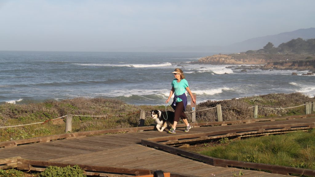 A woman in a blue shirt and cap strolls with her dog along the SLO CAL boardwalk, next to the ocean. Waves break against the rocky shoreline, surrounded by vibrant greenery under a clear sky.