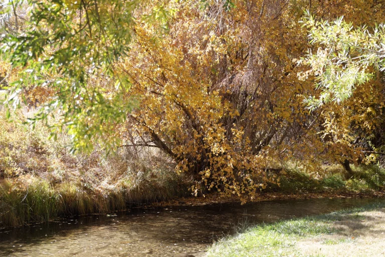 Izaak Walton Park