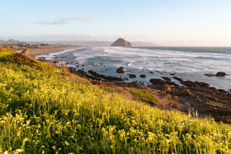 North Point Beach