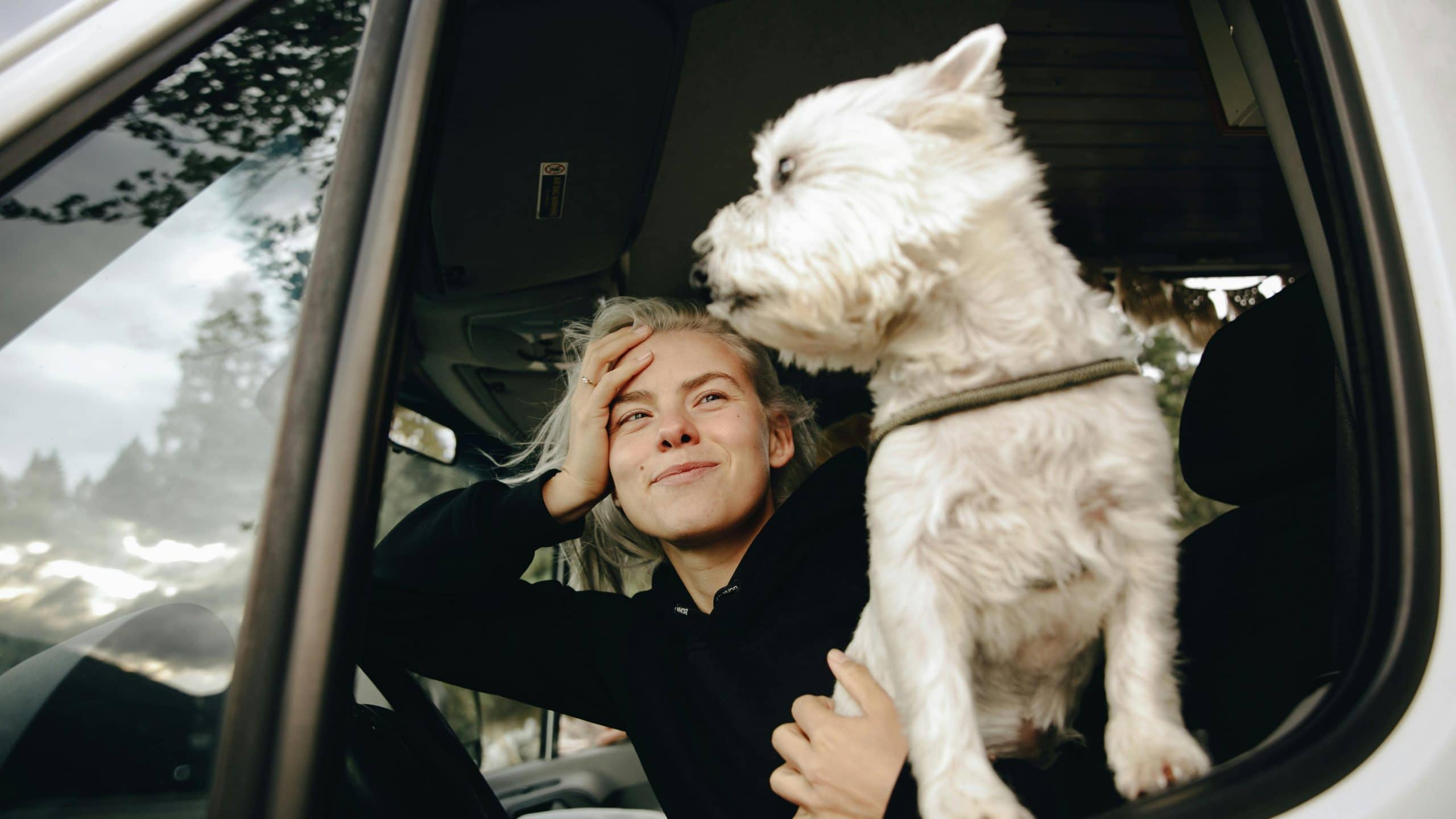 A person sits comfortably in a van, their head propped on one hand as they smile softly and gaze outside. Beside them, a small white dog stands alert, its eyes fixed on the passing scenery of trees gently swaying in the breeze through the open window. Together, they share a peaceful moment filled with quiet excitement for the journey ahead.