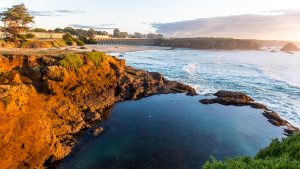 A rugged coastal cliff, bathed in warm orange tones, towers over a serene tidal pool below. The gentle rhythm of ocean waves creates a soothing soundtrack as they softly collide with the shoreline. Nearby, you can wander along the beach and discover treasures washed ashore. In the distance, a quaint town basks in the soft glow of a sunset filtered through patches of cloud. This idyllic setting offers an inviting escape for you and your furry companion to explore together.