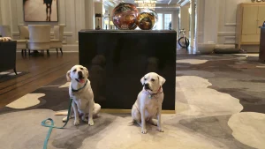 Maya and Edie at the Claremont Club & Spa, a Fairmont Hotel.