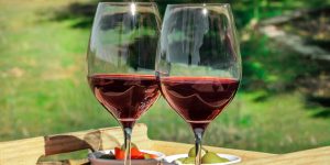 Amador and El Dorado counties: Wine, walks and woofs