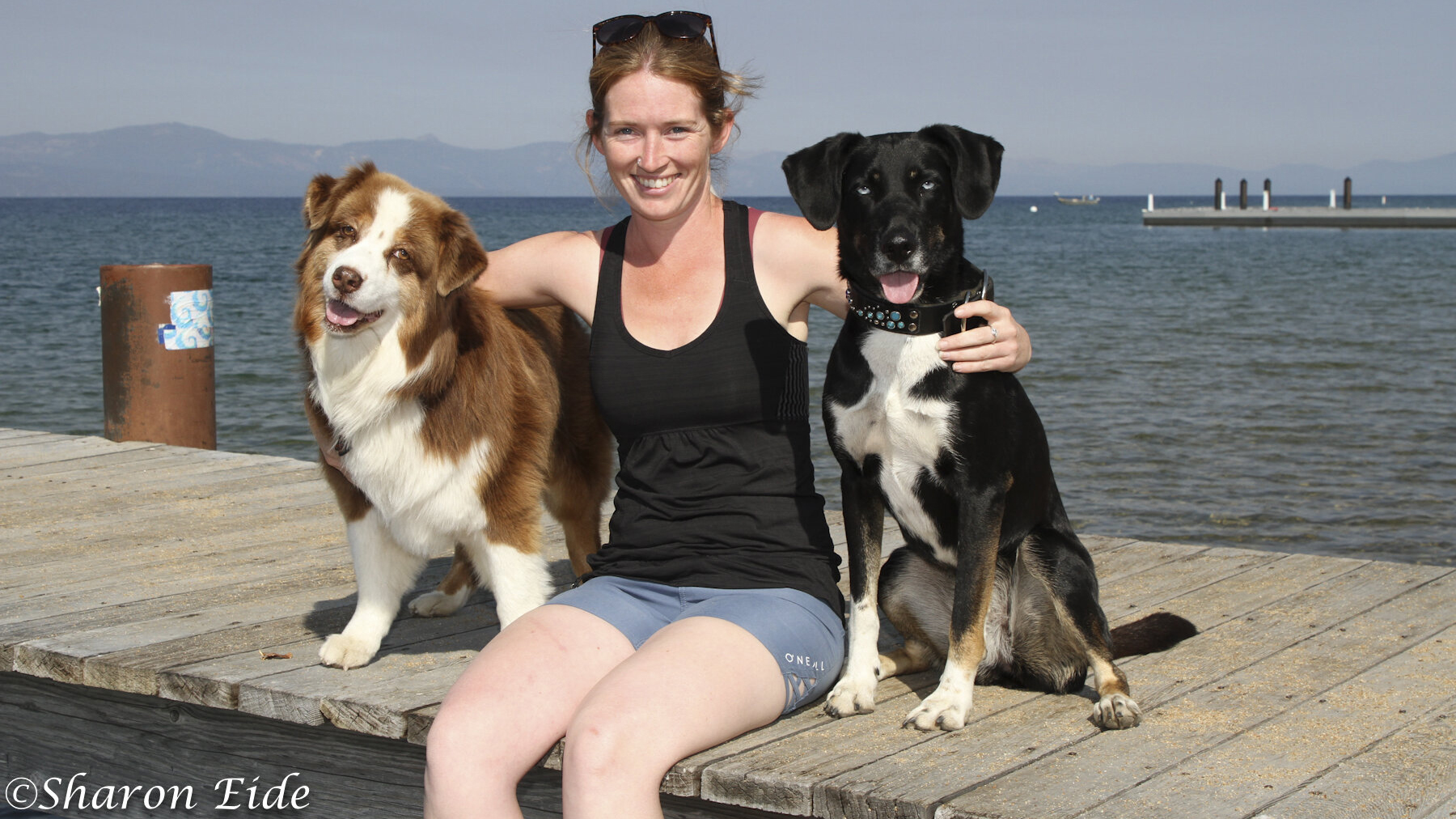 A person sits on a wooden dock beside shimmering water, accompanied by two dogs. One dog is fluffy with a rich brown coat accented with white, while the other is black with distinctive white and brown patches. Both dogs seem content in their outdoor haven. In the background, mountains rise majestically and another pier extends into the water, completing this picturesque Wild Blue setting.