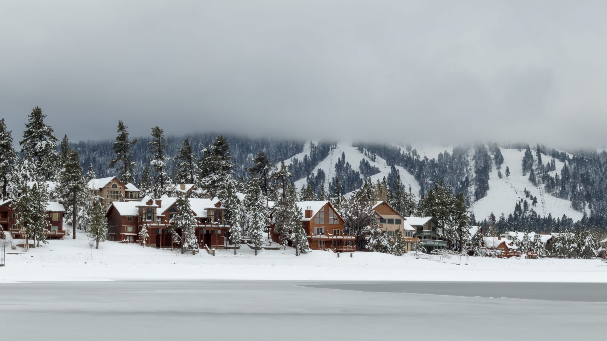 Snow blankets the roofs of houses and coats the branches of pine trees along the edge of Big Bear Lake. A mountain rises in the distance, its peak partially hidden by clouds that hang low in a gray sky. The landscape is quiet and still, reflecting a cold winter's day inviting exploration with your four-legged friend.