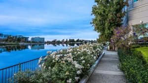 The Grand Bay Hotel San Francisco