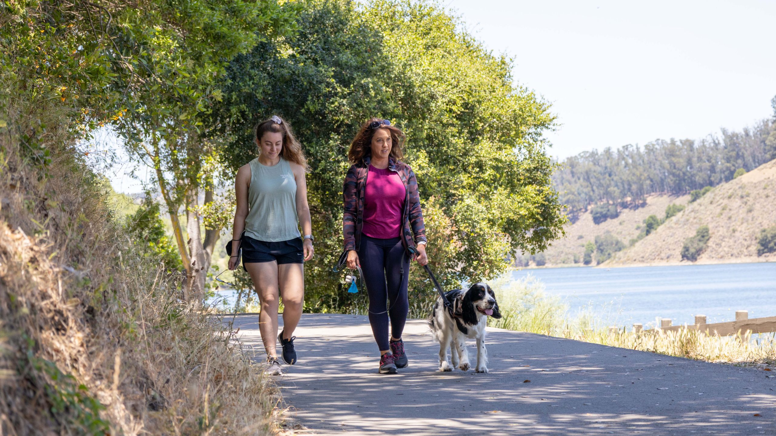 Two women walk side by side along a peaceful path that skirts the edge of a Bay Area lake. One woman, dressed in a tank top and shorts, enjoys the sun's warmth. The other wears a hat to shield her face from the light, with one hand firmly holding the dog's leash. Tall trees line their route, casting gentle shadows on the ground and enhancing the tranquility of their surroundings. In the background, sunlight dances across the surface of the lake, creating patterns of shimmering light that shift with every breeze.