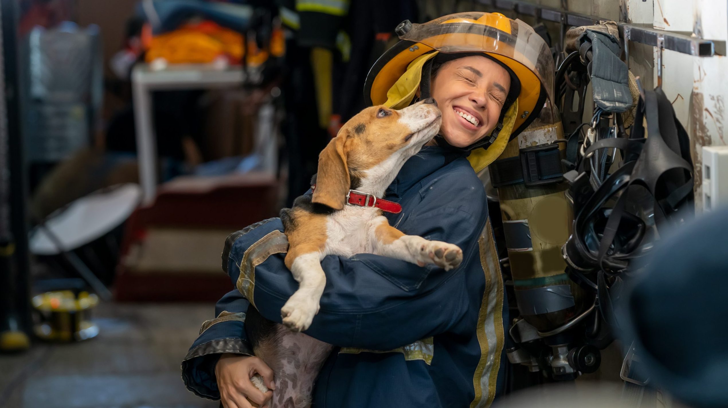 Inside a room adorned with firefighting gear, a firefighter dressed in full protective uniform stands with a beagle. The scene captures the beagle eagerly licking the firefighter's face, who responds with a warm smile. This moment highlights the close connection first responders share with their animal companions.