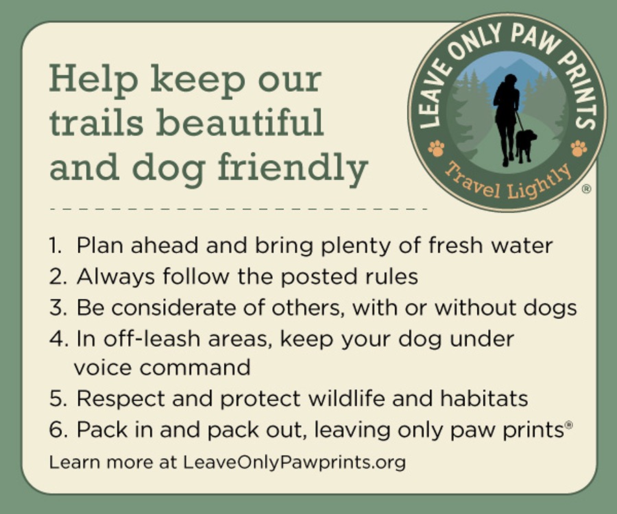 A green and beige sign stands at the trailhead, welcoming visitors with dogs to a network of trails designed for shared enjoyment. At its heart is a call to action: “Help keep our trails beautiful and dog friendly.” Below this message, six clear guidelines are listed, each aimed at promoting responsible hiking with canine companions. Visitors are gently reminded to "Leave Only Paw Prints, Travel Lightly," asking everyone to contribute to the ongoing preservation of these paths as a safe and welcoming sanctuary for all creatures who wander them.