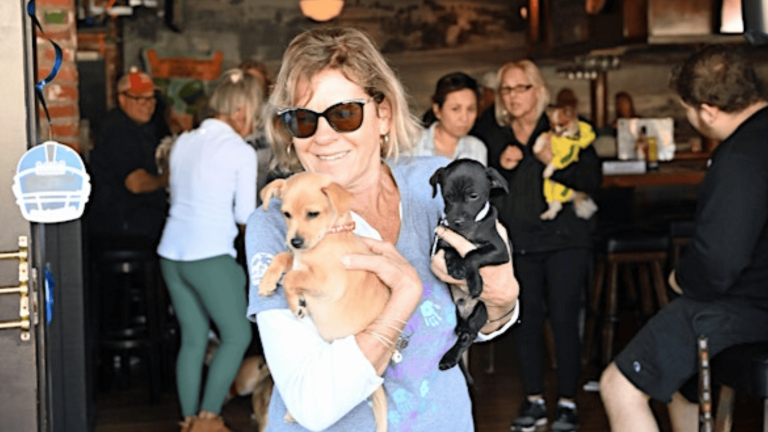 A woman in sunglasses cradles a tan puppy and a black puppy indoors, capturing the warmth of a casual tailgate gathering. She smiles amid a lively group, each person accompanied by their own dog. Around them, rustic decor enhances the welcoming atmosphere under softly dimmed lighting.