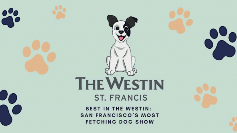 Illustration Description: A cheerful dog with a distinctive spot over one eye sits prominently above the text "The Westin St. Francis: Best in the Westin: San Francisco's Most Fetching Dog Show." The background is adorned with blue and orange paw prints, highlighting the celebrated event at The Westin hotel. This setting invites dog enthusiasts to experience one of San Francisco's premier canine showcases.