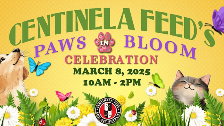 Paws in Bloom Celebration Date: March 8, 2025 Time: 10 AM - 2 PM Join us for a vibrant day of fun at Centinela Feed & Pet Supplies! Our "Paws in Bloom" event promises an engaging experience for you and your furry friends. Picture colorful butterflies fluttering around a radiant garden filled with blossoming flowers, while a cheerful dog and cat welcome all to this joyous occasion. Bring your pets to explore the lively surroundings and celebrate the arrival of spring together. Look for our Centinela Feed & Pet Supplies logo at the bottom as a mark of quality and commitment to pet happiness. Come make memories with your companions that will last all season long!.