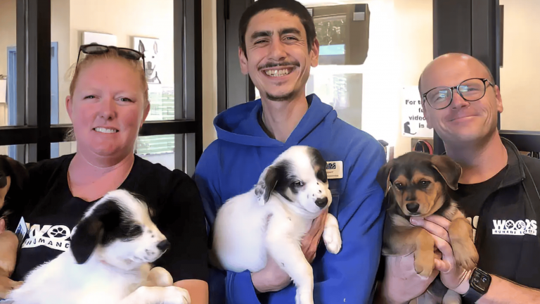 Three people stand inside a bright room, each holding a puppy and beaming with happiness. On the left, two friends gently cradle puppies that are white with distinct black spots. Their playful patterns evoke the lively spirit of a pleasant evening. The person on the right embraces a warm brown puppy, who appears content in their arms. Behind them, large glass doors frame the scene, hinting at an inviting atmosphere in San Luis Obispo.