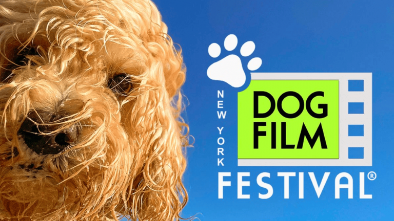 A dog with a coat of tight, curly fur stands against the backdrop of a clear, blue sky. Next to it is a film strip graphic adorned with a paw print. The text "NY Dog Film Festival" accompanies the image, highlighting an engaging event dedicated to celebrating the roles and stories of dogs in cinema.