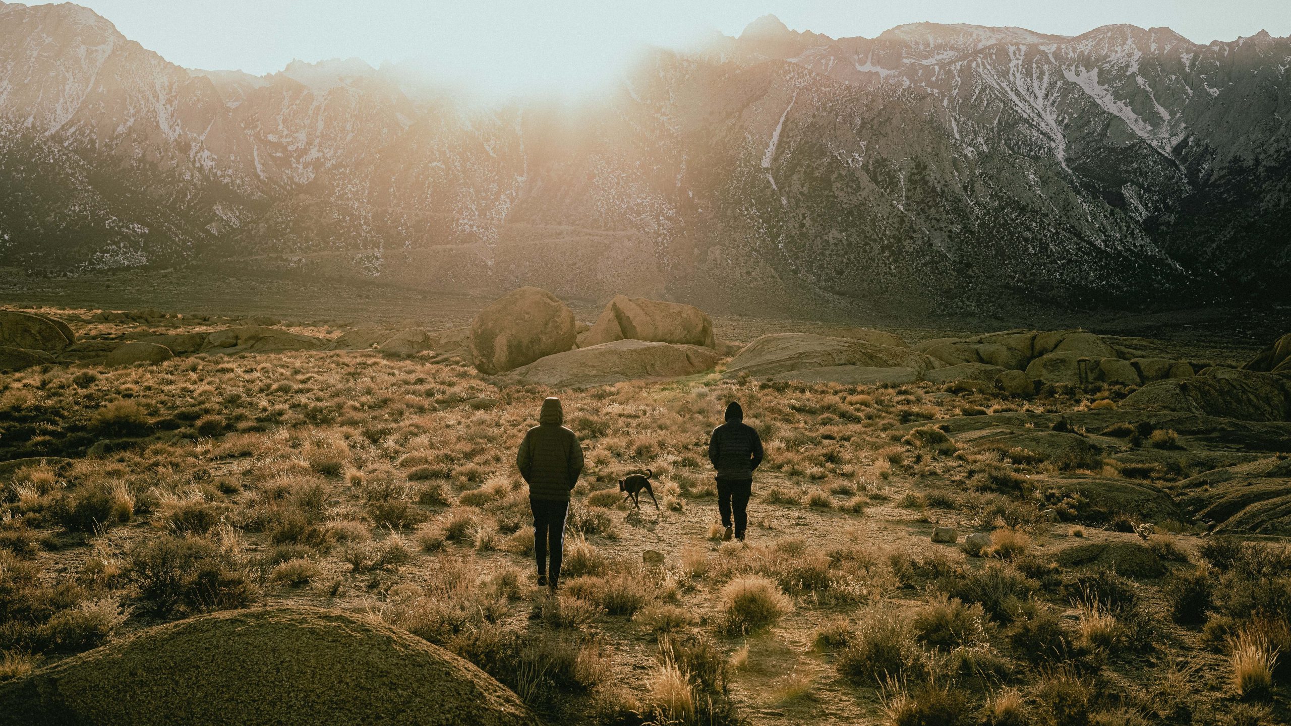 Two people and their dog take a winter hike through the desert at sunrise. In the distance, snow dusts the mountain peaks, adding contrast to the otherwise stark landscape. The sun rises, casting a warm glow over rocky terrain and scattered desert plants as they explore together.