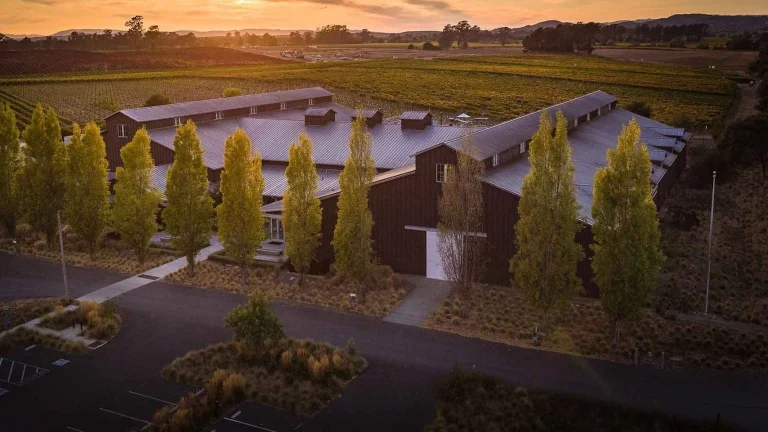 Migration Wines, a dog-friendly restaurant in Napa, California