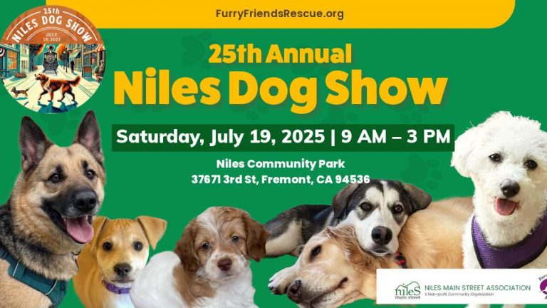 Attend the 25th Annual Niles Dog Show on July 19, 2025, from 9 AM to 3 PM at Niles Community Park in Fremont, CA. This event is organized by the Niles Main Street Association and supports Furry Friends Rescue. You’ll find a variety of dog-related activities, plenty of opportunities to see numerous breeds, and photography showcasing adorable dogs throughout the park.
