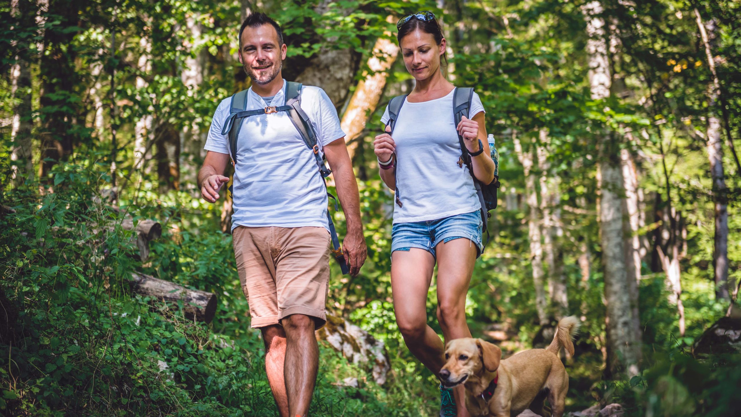 A man and woman navigate the winding trails of a lush forest, accompanied by their small dog. Each carries a backpack, ready for the day's adventure. The man wears comfortable shorts and a T-shirt, while the woman opts for shorts paired with a sleeveless top. Sunlight seeps gently through the canopy above, casting dappled patterns on the path beneath their feet as they explore this serene setting together with their canine companion.