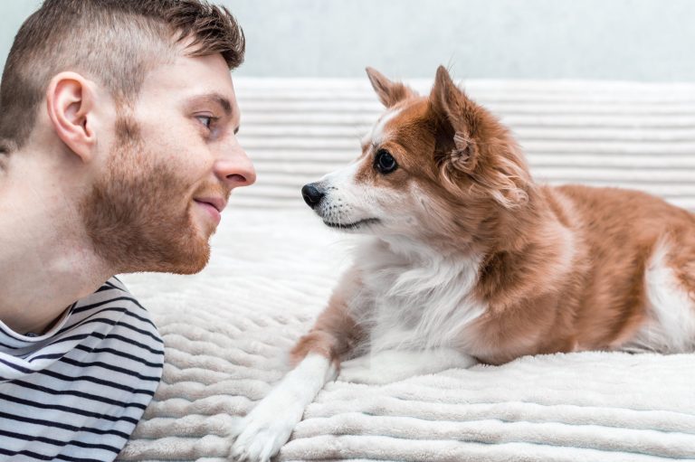 A bearded man wearing a striped shirt rests on a soft, light-colored blanket. He faces a small brown and white dog with pointed ears, both eyes meeting in an intimate moment of connection and affection.