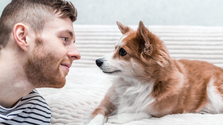 A bearded man wearing a striped shirt rests on a soft, light-colored blanket. He faces a small brown and white dog with pointed ears, both eyes meeting in an intimate moment of connection and affection.