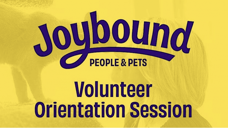 Yellow promotional material announces an upcoming "Joybound People & Pets Volunteer Orientation Session." The design prominently features a silhouette of a person interacting closely with a cat, underlining the central theme of human-animal connection. Attend this session to explore how you can contribute as a volunteer and make an impact in the community. Bring your enthusiasm for working with dogs and learn about opportunities to enhance their lives through volunteering.