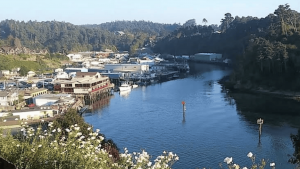 Anchor Lodge is nestled along the waterfront of a coastal town, surrounded by picturesque views. Buildings and boats dot the shoreline, creating a vibrant scene by the river. The area is embraced by rolling hills covered in dense forests, providing ample space for exploration with your dog. White flowers flourish in the foreground, offering a burst of color beneath an expansive blue sky, making it an ideal spot for leisurely walks and outdoor activities with your furry friend.