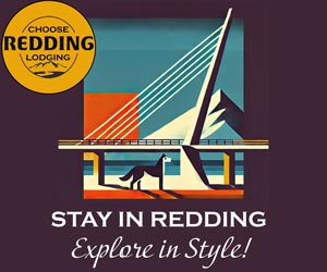 Discover lodging in Redding that caters to both you and your furry friend. The graphic showcases a sleek design with a stylized bridge, a mountain peak, and the silhouette of a dog, all set against a vibrant backdrop. The text invites you to "Stay in Redding, Explore in Style!" For those seeking accommodations with their dogs, look for the yellow circle logo that says "Choose Redding Lodging.