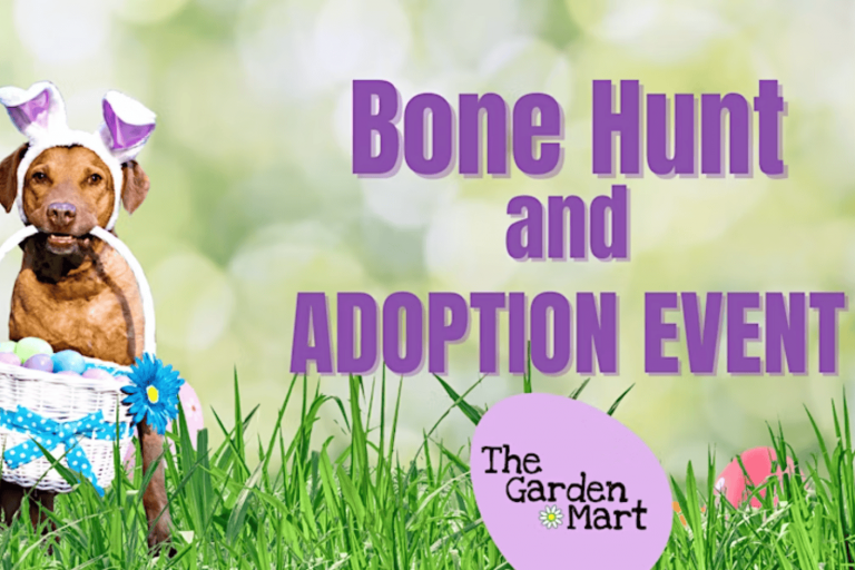 In the image, a dog sports bunny ears while sitting on grass, clutching a basket filled with colorful eggs. Above, the text announces an "Easter Dog Bone Hunt and Adoption Event." In one corner, a purple egg features the words "The Garden Mart." The backdrop of lush greenery beckons visitors to discover their next furry companion.