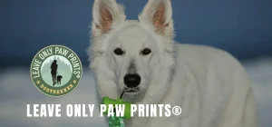 Image from This Earth Day, DogTrekker spotlights stewardship on DogTrekker