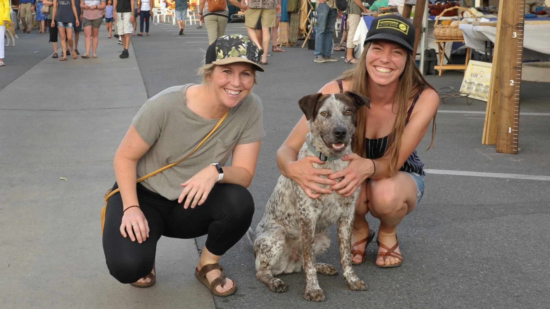 Dog-Friday-Night-Downtown