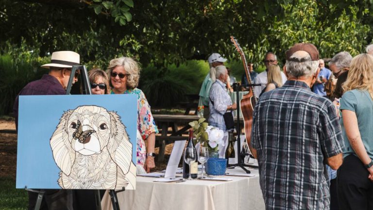 A vibrant dog park bathed in sunlight features abundant greenery with mature trees, offering ample shade for leisurely outdoor activities. In the distance is a well-equipped playground that presents an additional activity area. An inviting picnic table spreads out nearby, ideal for enjoying meals al fresco or taking relaxing breaks from play. A neatly-placed trash bin aids in maintaining the park's cleanliness for everyone's enjoyment. Dominating the scene is a generously wide dirt path gracefully curving through the expanse of grass, promising exploratory walks and lively fetch games.