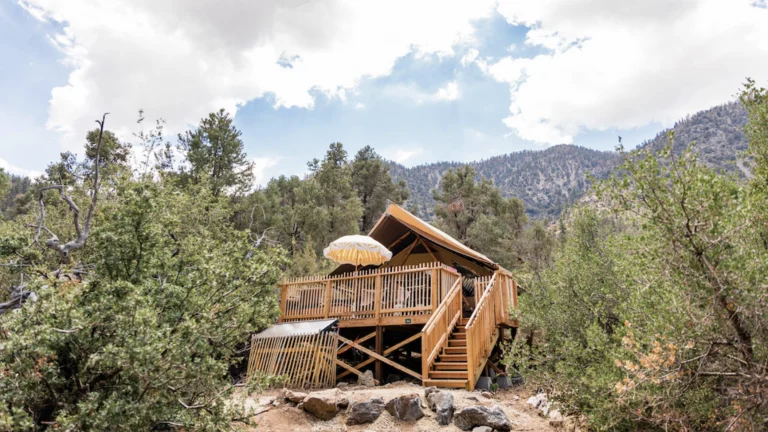 Huttopia Paradise Springs, a dog-friendly lodging in Valyermo, California