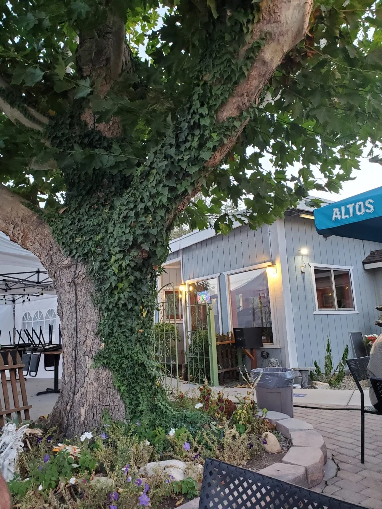 Astorga's Mexican Restaurant, a dog-friendly restaurant in Bishop, California