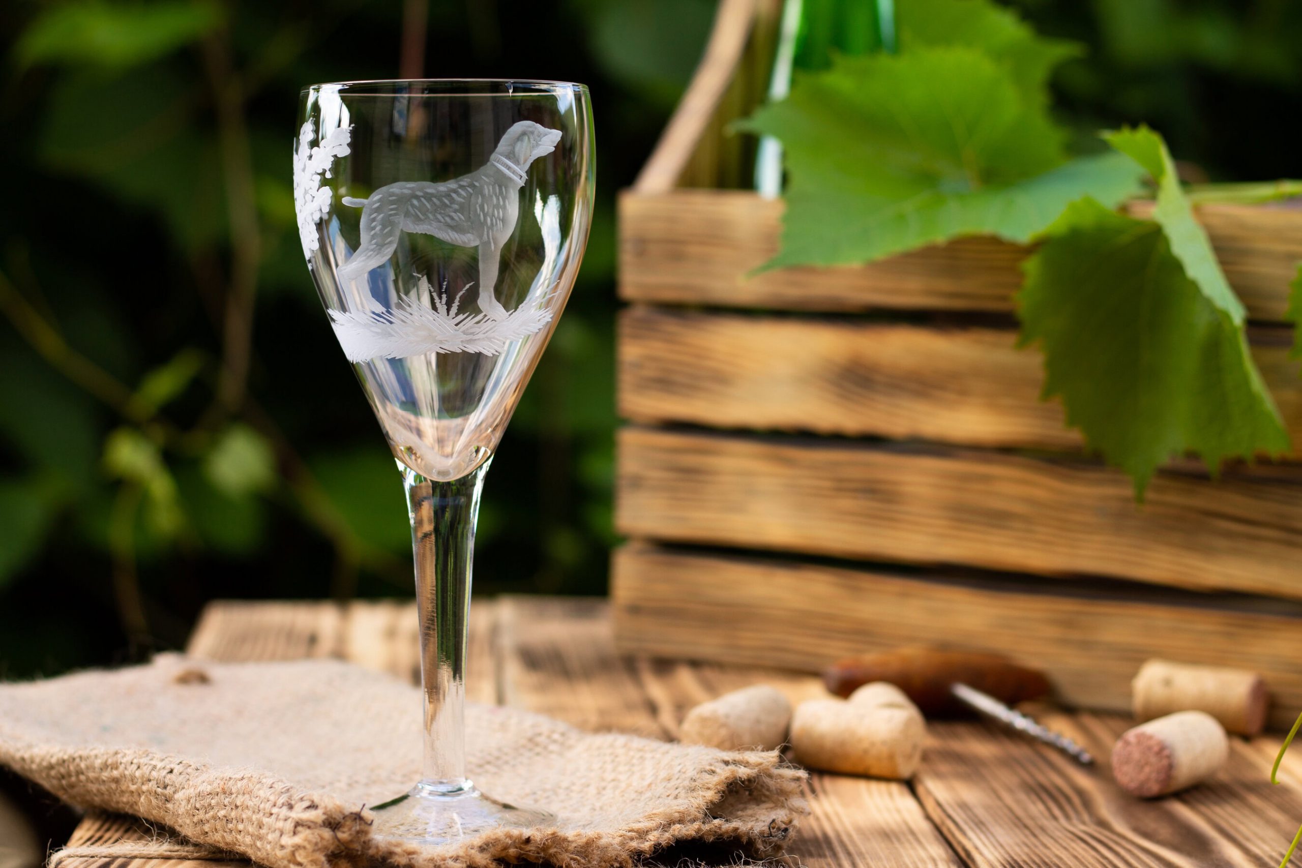 A vibrant dog park bathed in sunlight features abundant greenery with mature trees, offering ample shade for leisurely outdoor activities. In the distance is a well-equipped playground that presents an additional activity area. An inviting picnic table spreads out nearby, ideal for enjoying meals al fresco or taking relaxing breaks from play. A neatly-placed trash bin aids in maintaining the park's cleanliness for everyone's enjoyment. Dominating the scene is a generously wide dirt path gracefully curving through the expanse of grass, promising exploratory walks and lively fetch games.