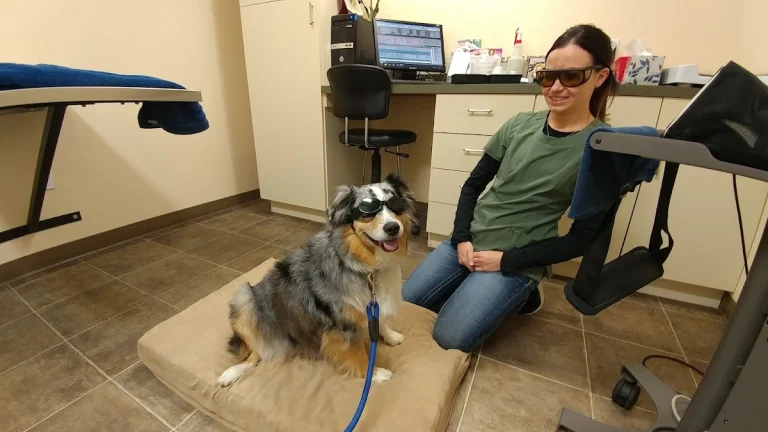 Mountain View Animal Hospital, a dog-friendly local service in Bishop, California