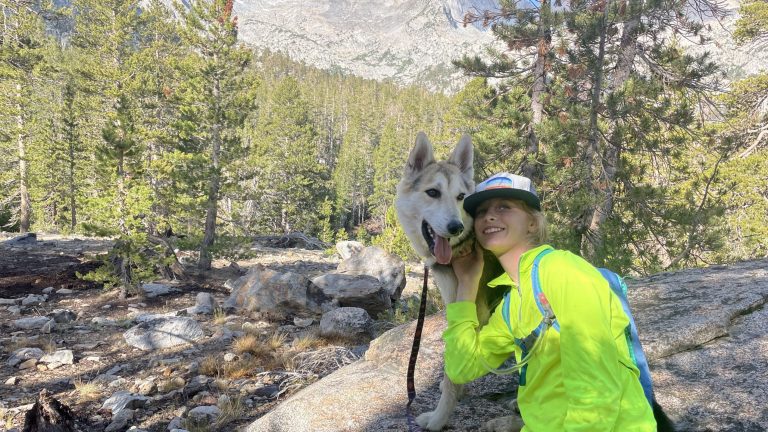 A vibrant dog park bathed in sunlight features abundant greenery with mature trees, offering ample shade for leisurely outdoor activities. In the distance is a well-equipped playground that presents an additional activity area. An inviting picnic table spreads out nearby, ideal for enjoying meals al fresco or taking relaxing breaks from play. A neatly-placed trash bin aids in maintaining the park's cleanliness for everyone's enjoyment. Dominating the scene is a generously wide dirt path gracefully curving through the expanse of grass, promising exploratory walks and lively fetch games.