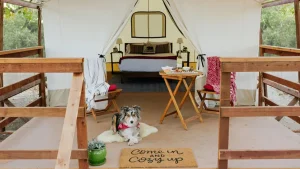 Wildhaven Sonoma A+-Wildhaven+-+Tent+Photo-737w