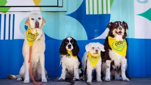 DogFest Bay Area 2026