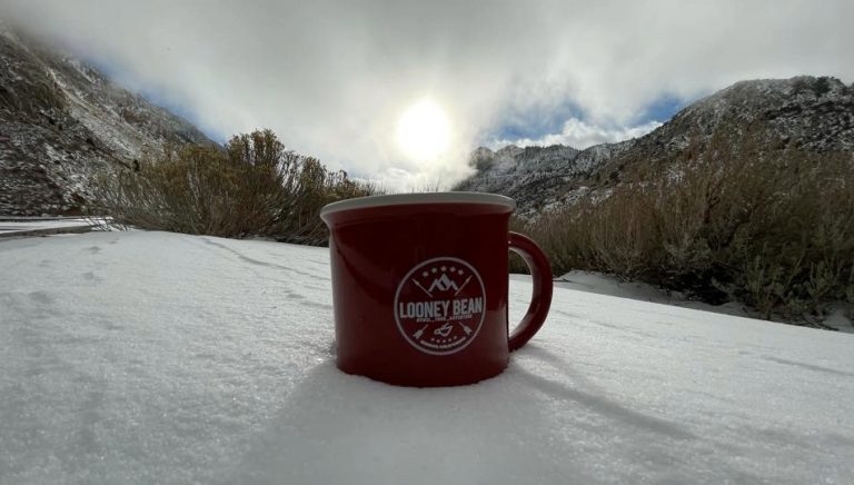 Looney Bean of Bishop