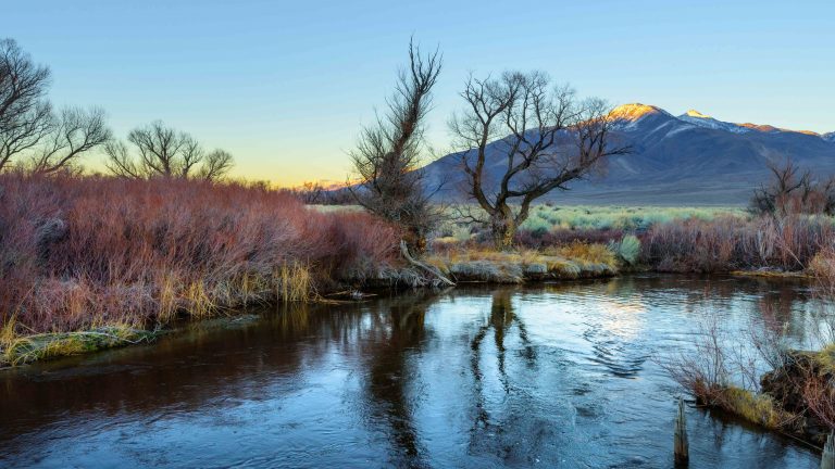 Owens River in the fall.
