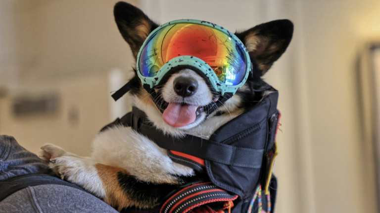 Screen Shot 2025 07 09 at 1.41.38 PM