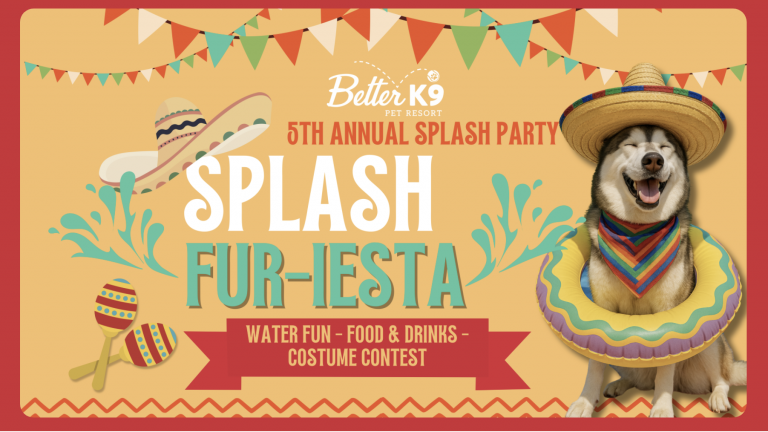 A vibrant dog park bathed in sunlight features abundant greenery with mature trees, offering ample shade for leisurely outdoor activities. In the distance is a well-equipped playground that presents an additional activity area. An inviting picnic table spreads out nearby, ideal for enjoying meals al fresco or taking relaxing breaks from play. A neatly-placed trash bin aids in maintaining the park's cleanliness for everyone's enjoyment. Dominating the scene is a generously wide dirt path gracefully curving through the expanse of grass, promising exploratory walks and lively fetch games.