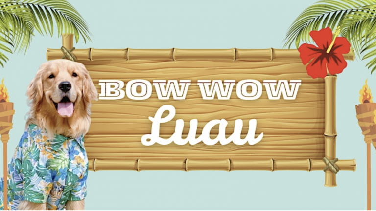 A vibrant dog park bathed in sunlight features abundant greenery with mature trees, offering ample shade for leisurely outdoor activities. In the distance is a well-equipped playground that presents an additional activity area. An inviting picnic table spreads out nearby, ideal for enjoying meals al fresco or taking relaxing breaks from play. A neatly-placed trash bin aids in maintaining the park's cleanliness for everyone's enjoyment. Dominating the scene is a generously wide dirt path gracefully curving through the expanse of grass, promising exploratory walks and lively fetch games.