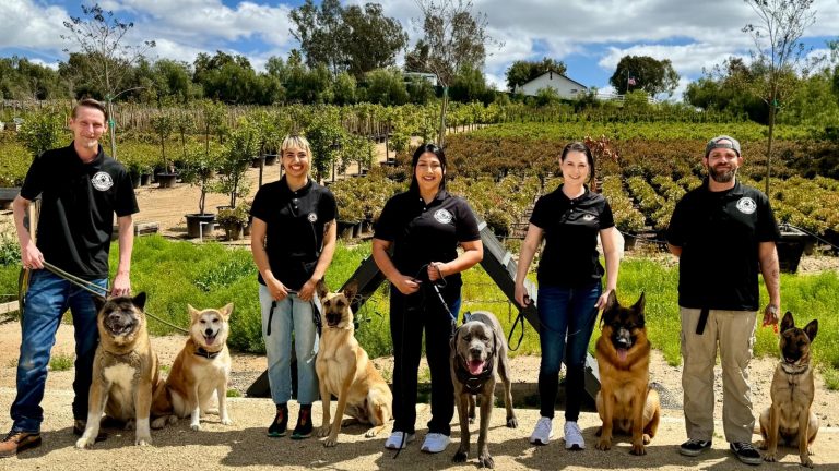 Six professional dog trainers from Better K9 Pet Resort standing outdoors with their dogs on leash, smiling in front of a training field and clear blue sky.