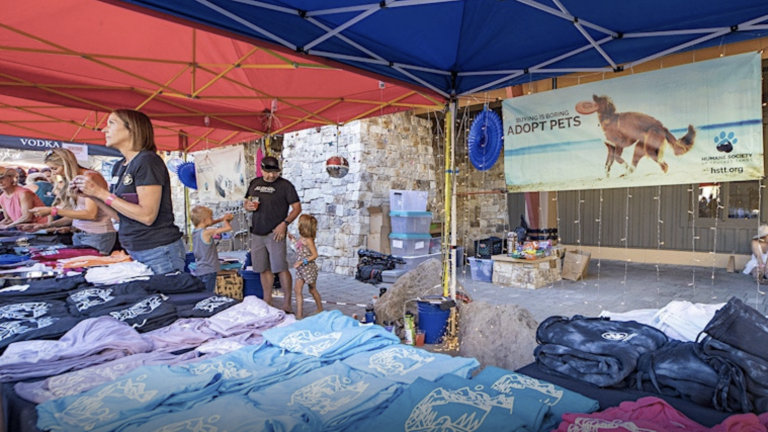 A vibrant dog park bathed in sunlight features abundant greenery with mature trees, offering ample shade for leisurely outdoor activities. In the distance is a well-equipped playground that presents an additional activity area. An inviting picnic table spreads out nearby, ideal for enjoying meals al fresco or taking relaxing breaks from play. A neatly-placed trash bin aids in maintaining the park's cleanliness for everyone's enjoyment. Dominating the scene is a generously wide dirt path gracefully curving through the expanse of grass, promising exploratory walks and lively fetch games.