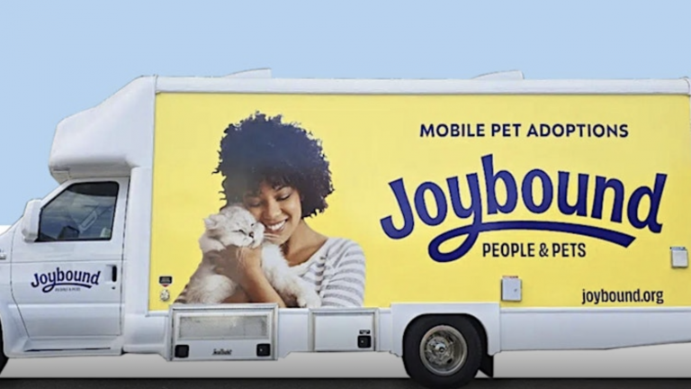 A vibrant dog park bathed in sunlight features abundant greenery with mature trees, offering ample shade for leisurely outdoor activities. In the distance is a well-equipped playground that presents an additional activity area. An inviting picnic table spreads out nearby, ideal for enjoying meals al fresco or taking relaxing breaks from play. A neatly-placed trash bin aids in maintaining the park's cleanliness for everyone's enjoyment. Dominating the scene is a generously wide dirt path gracefully curving through the expanse of grass, promising exploratory walks and lively fetch games.